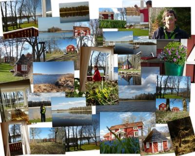 es wird immer gr&uuml;ner.....die Laune steigt.....wir f&uuml;hlen uns wohl.